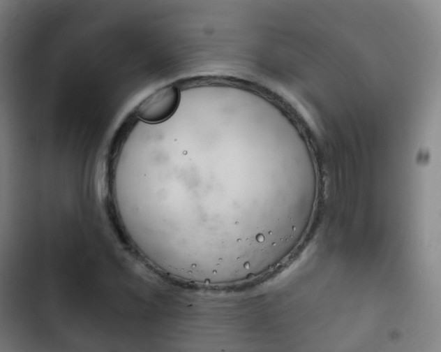 X0000103401069200809120918