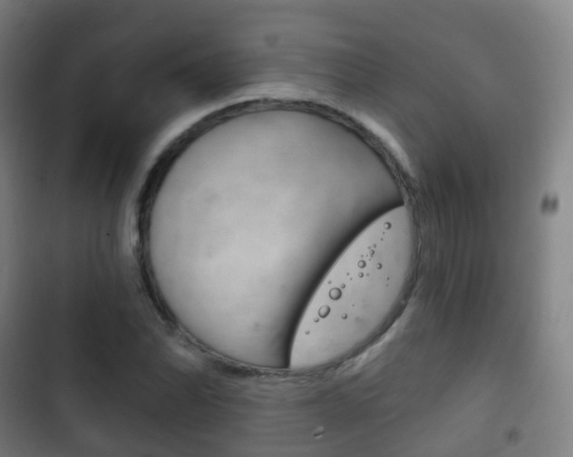X0000103401070200809120918