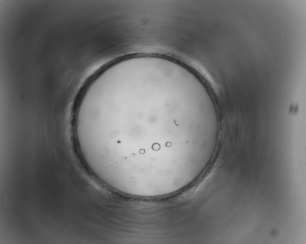 X0000103401071200809120918