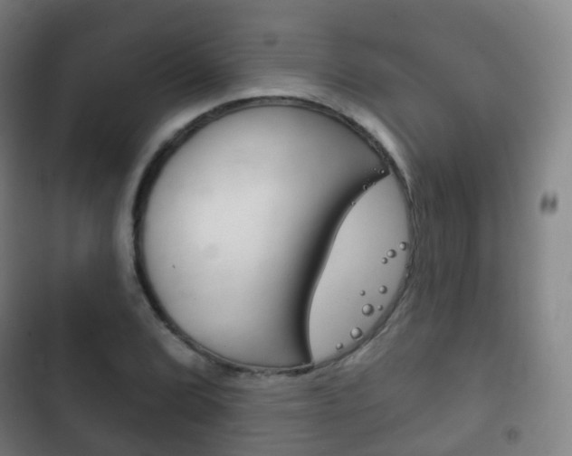 X0000103401072200809120918