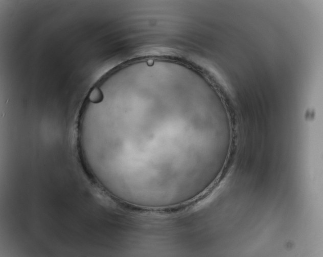 X0000103401073200809120918