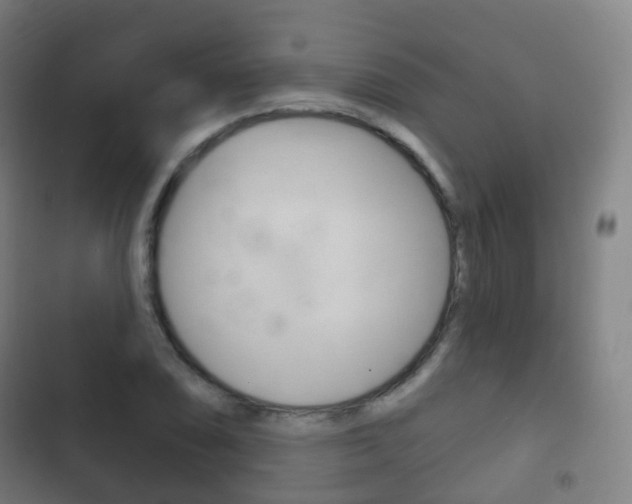 X0000103401074200809120918