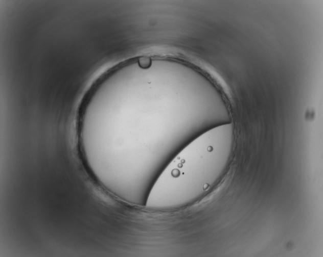 X0000103401075200809120918