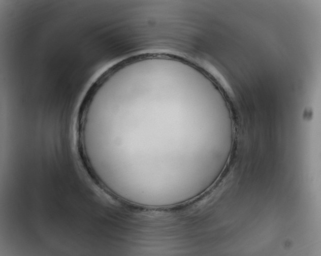 X0000103401076200809120918