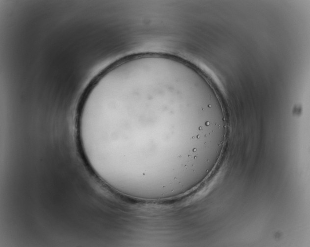 X0000103401077200809120918