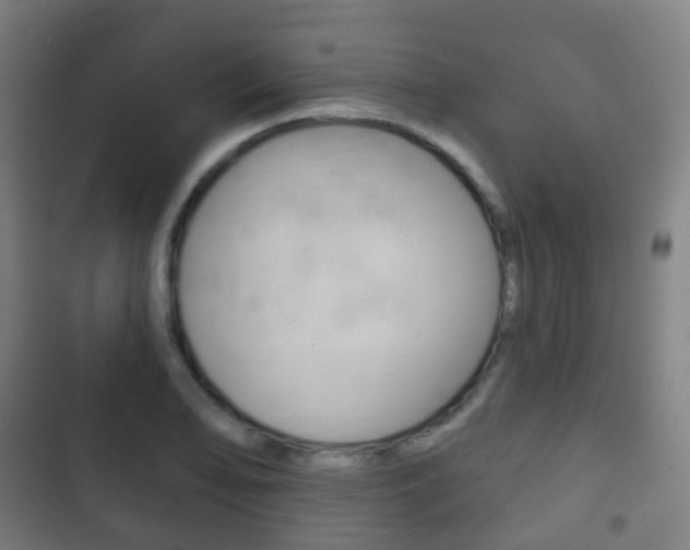 X0000103401078200809120918