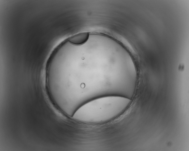 X0000103401079200809120918