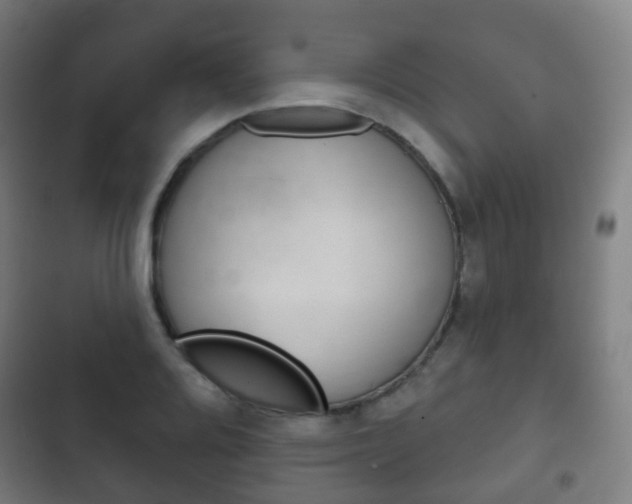 X0000103401080200809120918