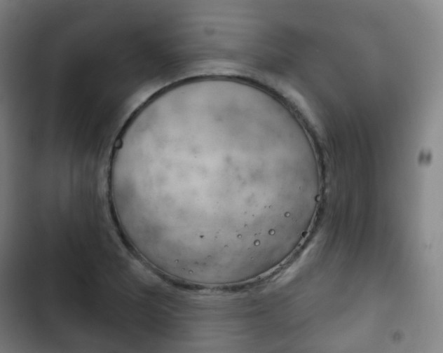 X0000103401081200809120918