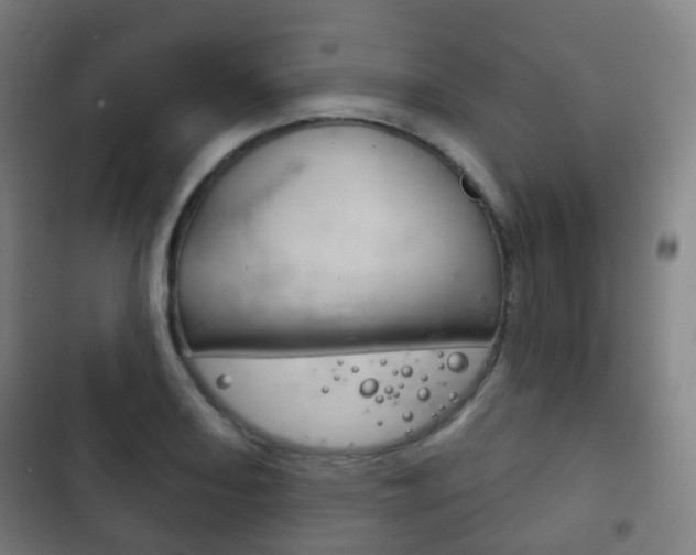 X0000103401082200809120918