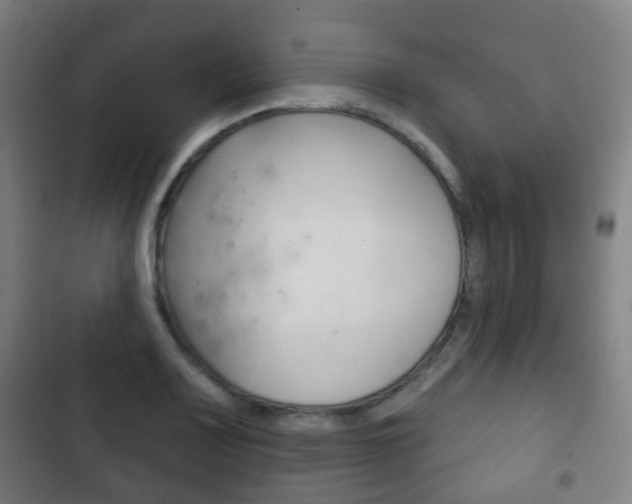 X0000103401083200809120918