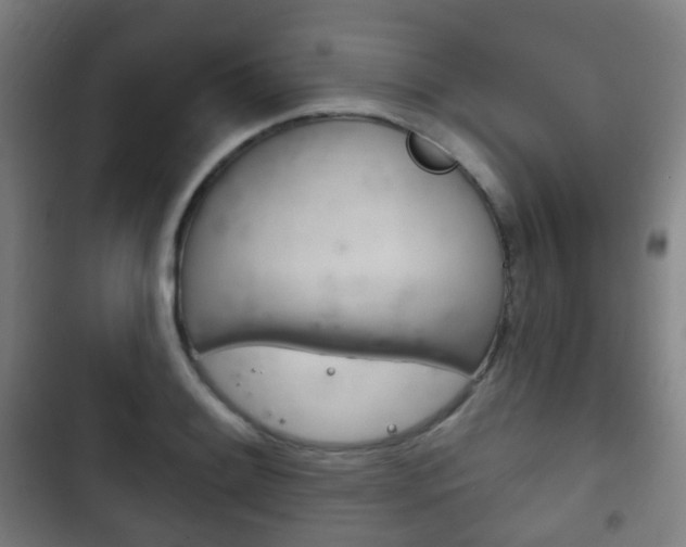 X0000103401084200809120918