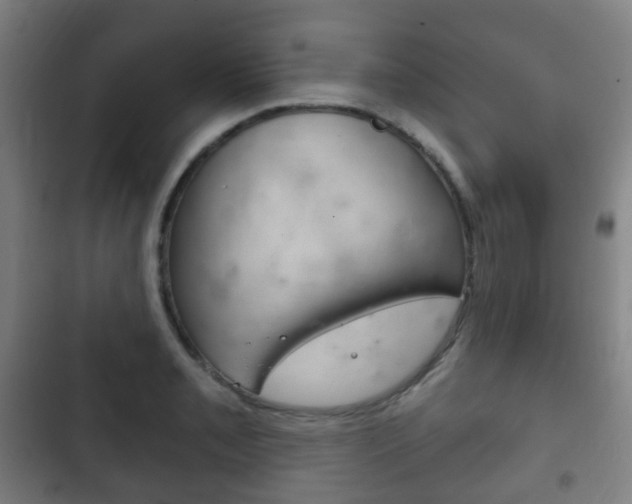 X0000103401085200809120918