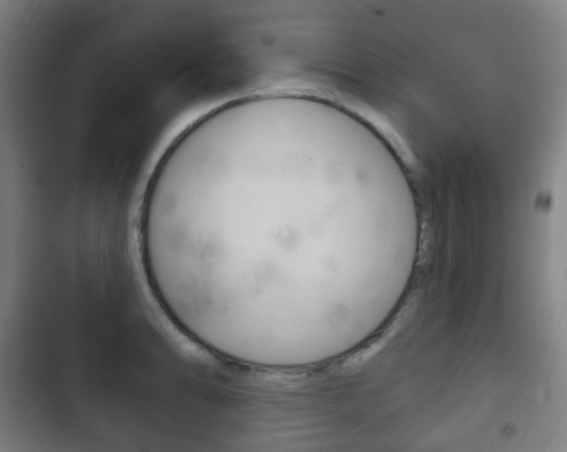 X0000103401086200809120918