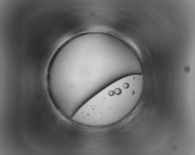 X0000103401087200809120918