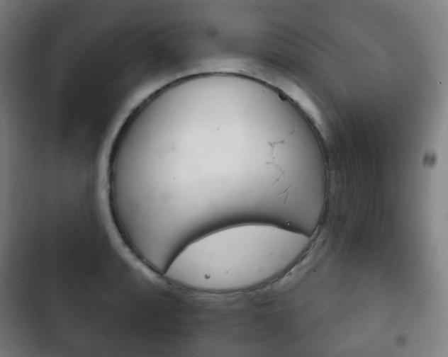 X0000103401088200809120918