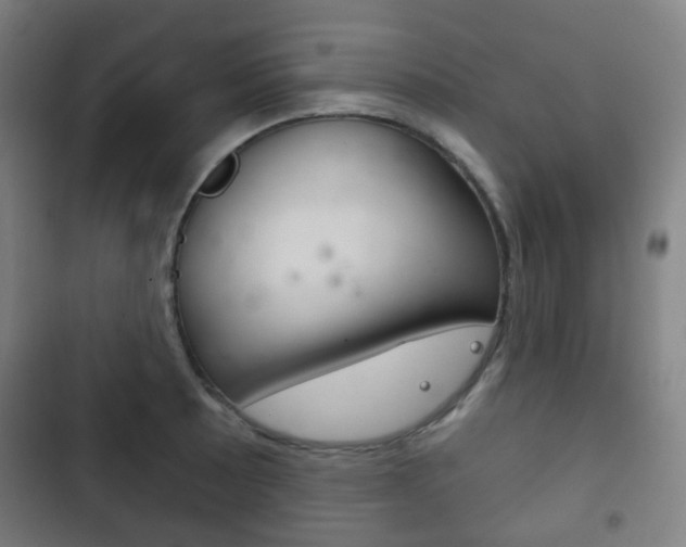 X0000103401089200809120918