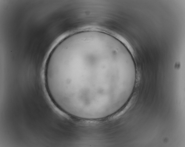 X0000103401090200809120918