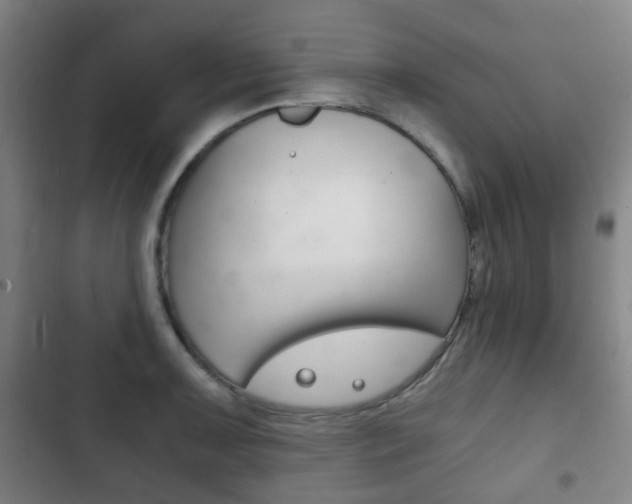 X0000103401091200809120918