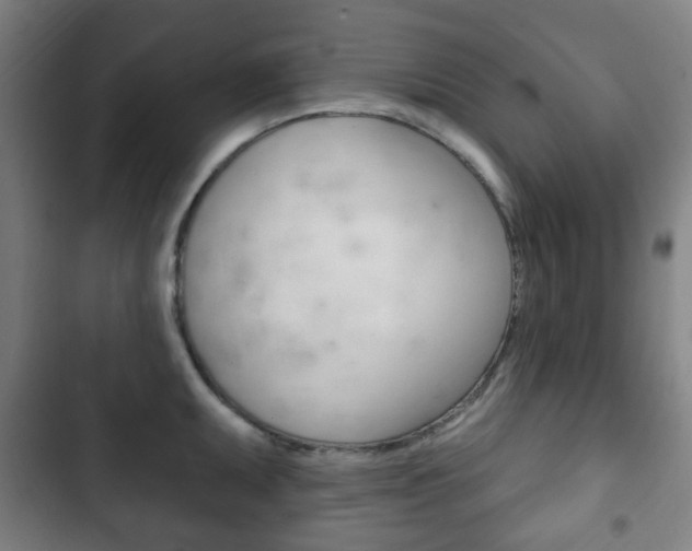 X0000103401095200809120918
