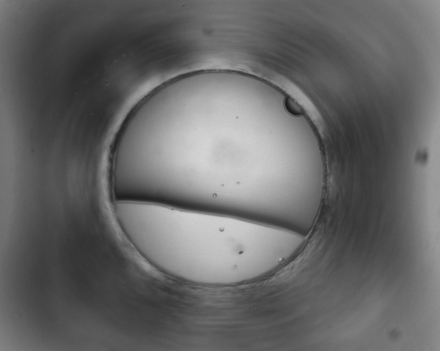 X0000103401096200809120918