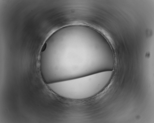 X0000103401097200809120918