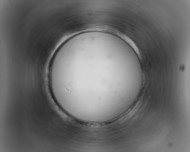 X0000103401099200809120918