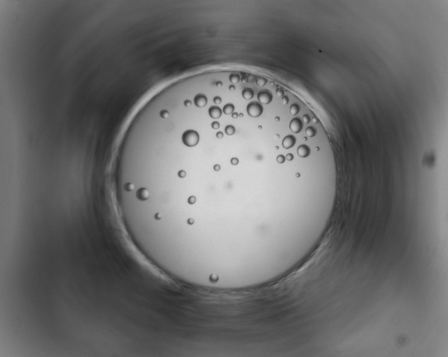 X0000103401100200809120918