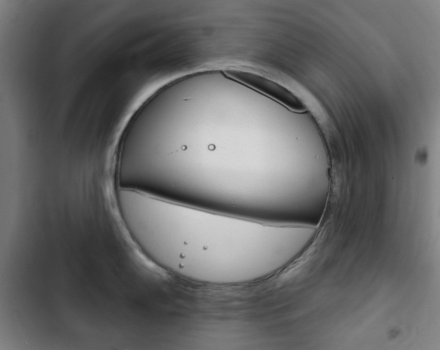 X0000103401102200809120918