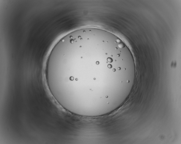 X0000103401104200809120918