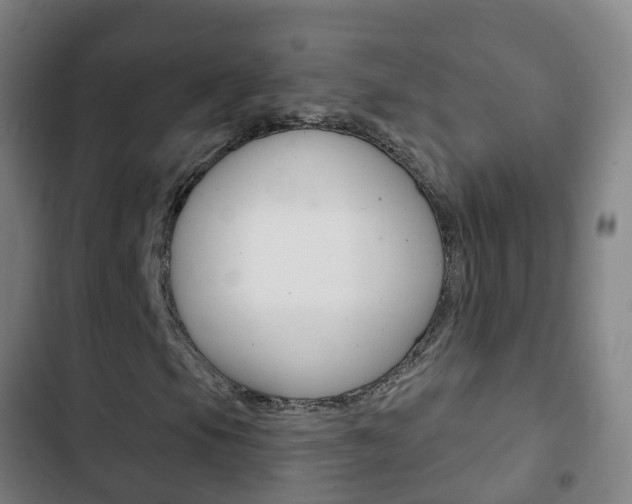 X0000103401105200809120917