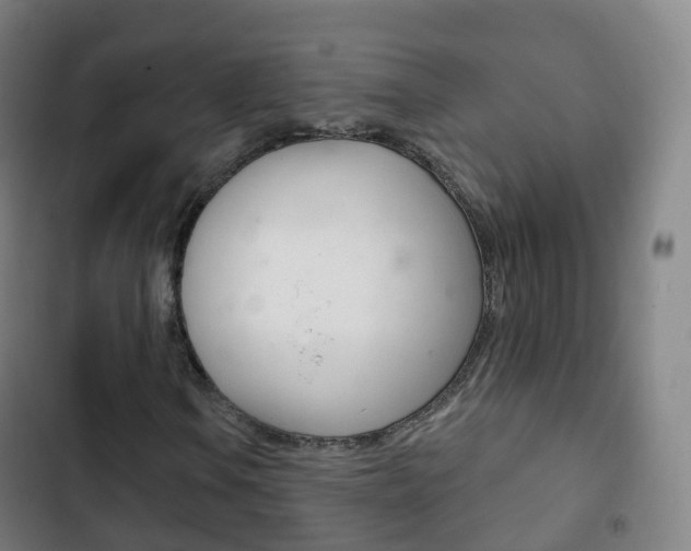 X0000103401106200809120917