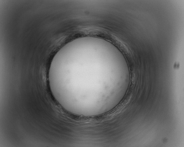 X0000103401108200809120917