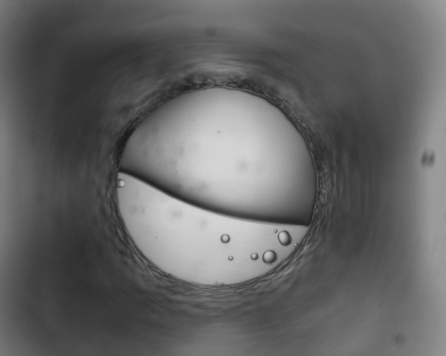 X0000103401109200809120917