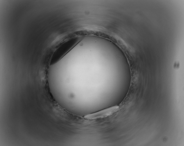 X0000103401110200809120917
