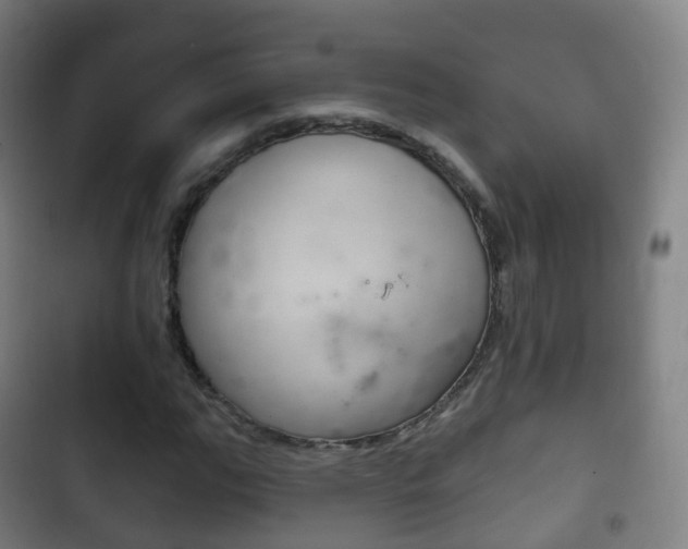 X0000103401111200809120917
