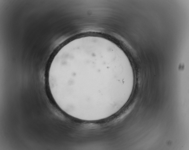 X0000103401113200809120917
