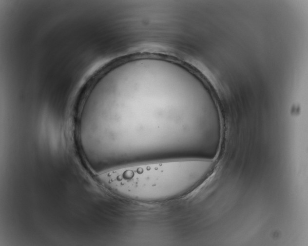 X0000103401115200809120917