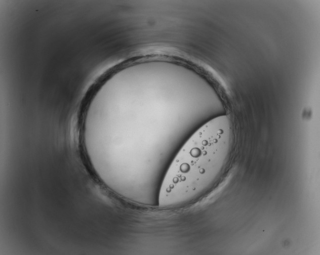 X0000103401117200809120917