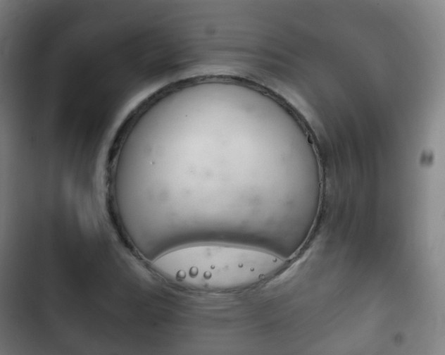 X0000103401119200809120917