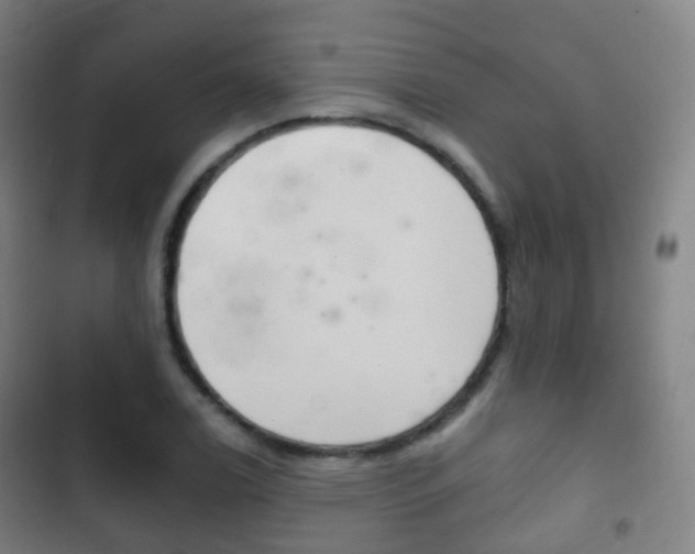 X0000103401122200809120917