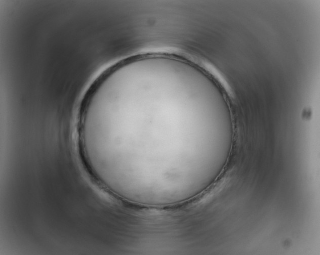 X0000103401124200809120917