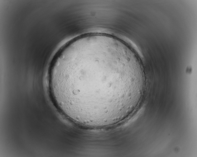 X0000103401125200809120917