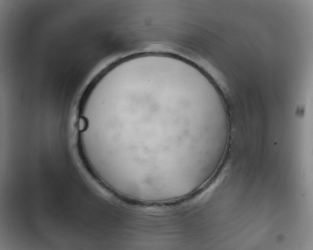 X0000103401126200809120917