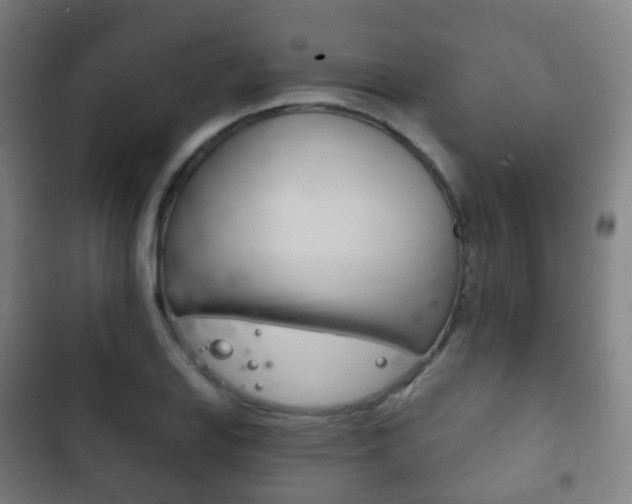 X0000103401127200809120917
