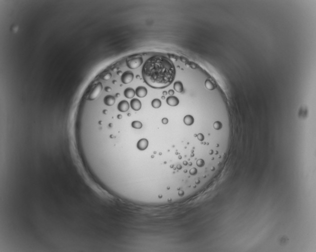 X0000103401128200809120918