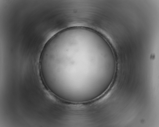 X0000103401129200809120918