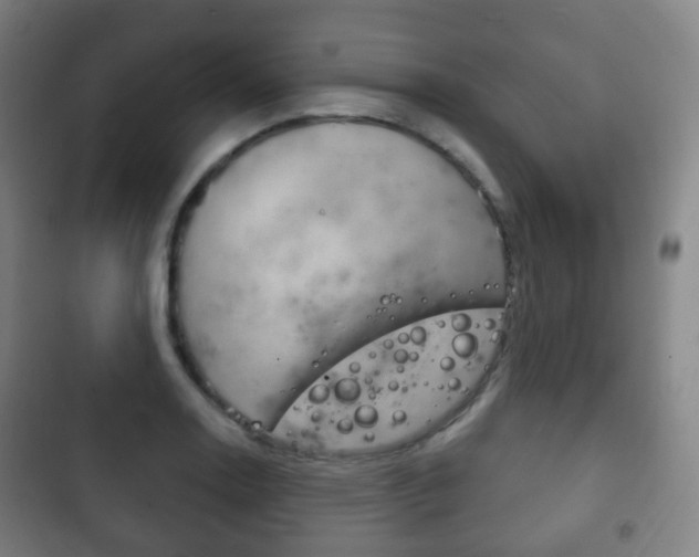 X0000103401130200809120918