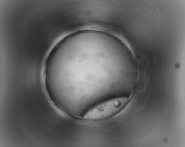 X0000103401131200809120918
