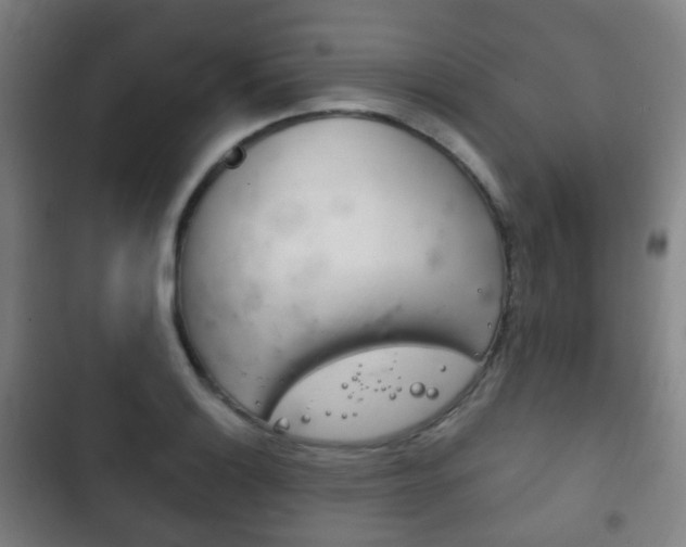 X0000103401132200809120918
